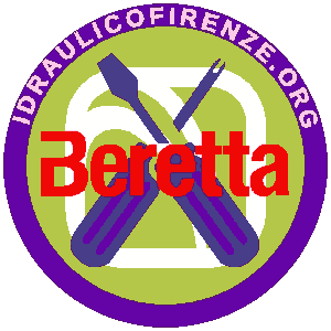 Riparazione Caldaie Beretta